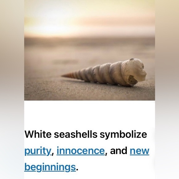 Bohemian Handmade White Sea Shell Hoop Earrings - Picture 10 of 10